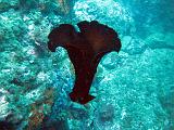 2009-09-09 14-56-31S